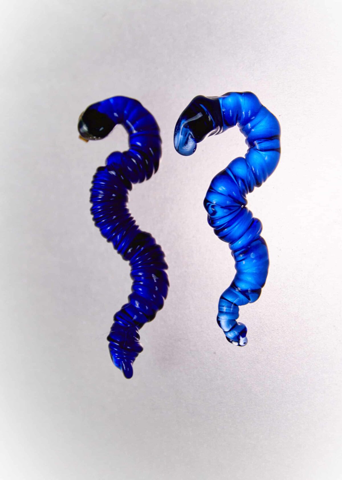 stalagtite snake earrings blue levens