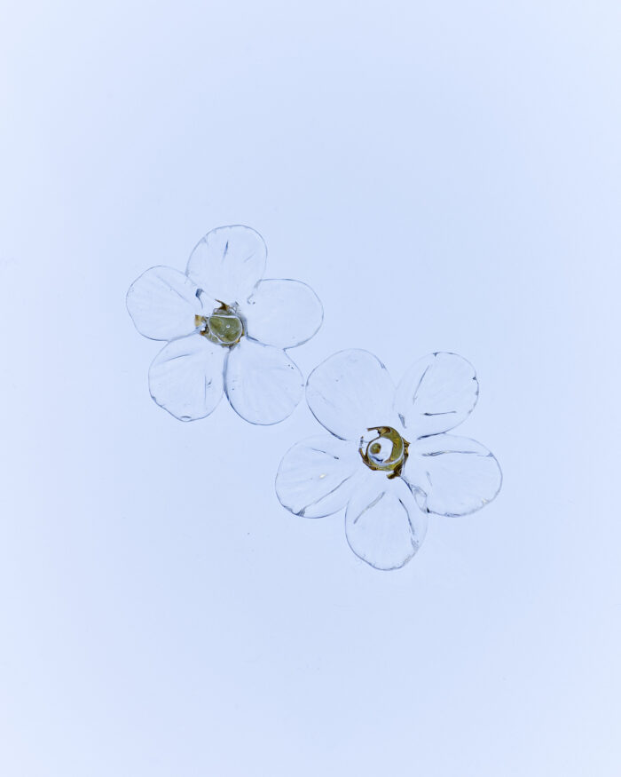 narciso glass earrings clear levens muy frágil