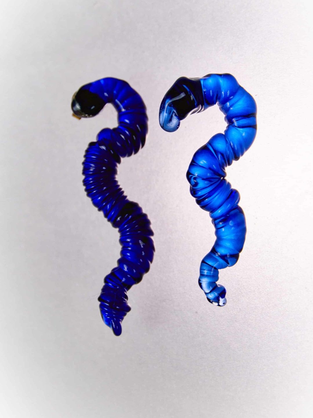 stalagtite snake earrings blue levens