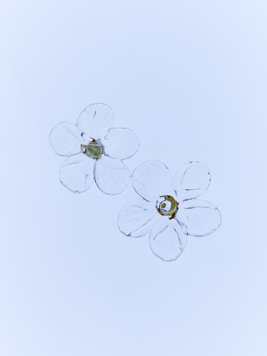 narciso glass earrings clear levens muy frágil